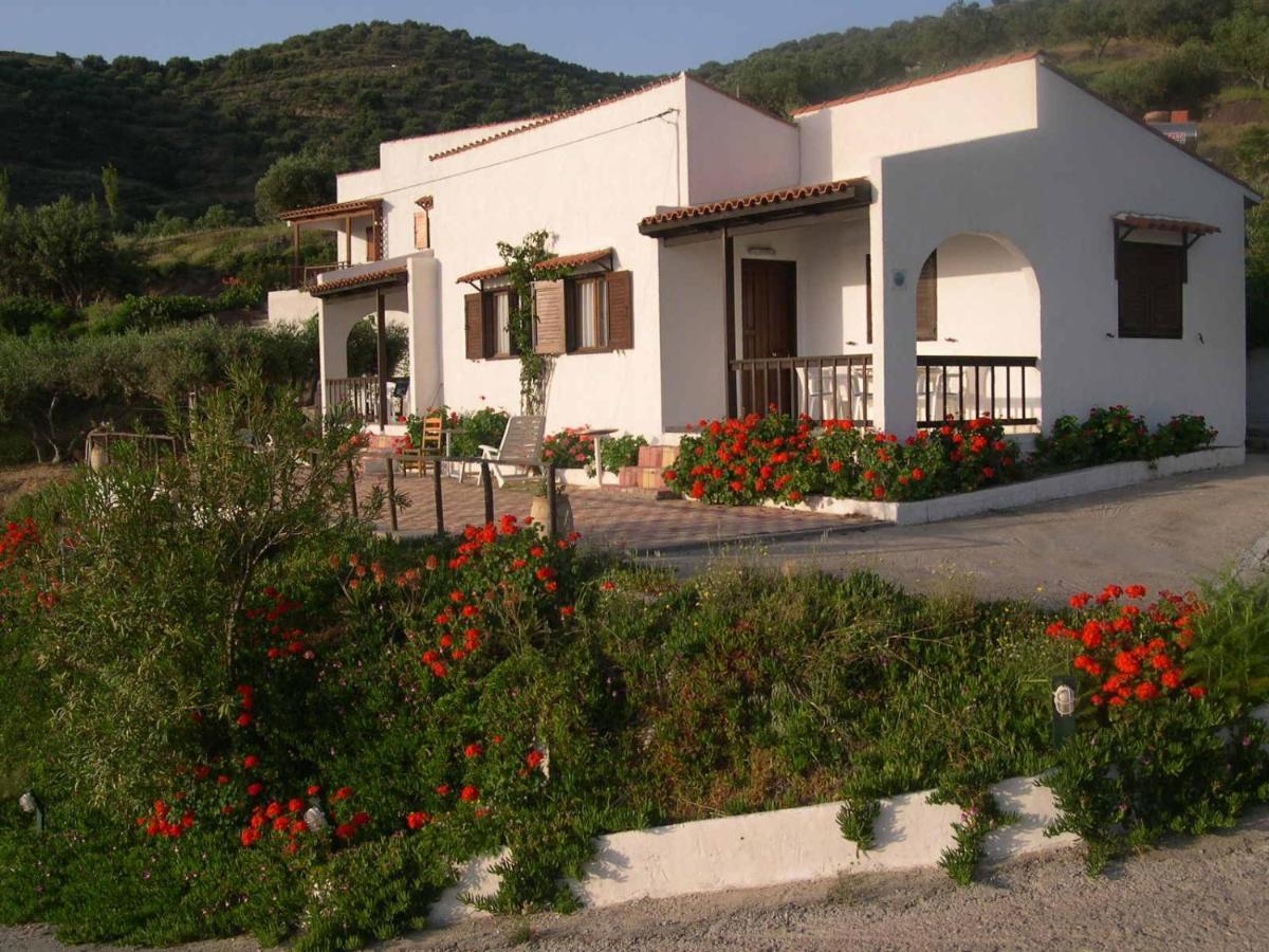 Limenaria Apartments Mochlos Camera foto